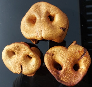 Sušený vepřový čumáček