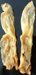 Sušené králičí uši